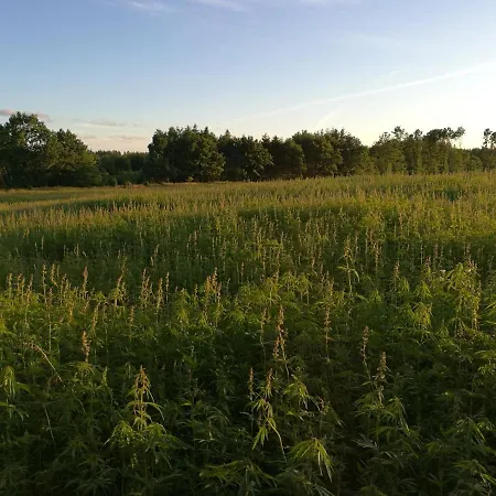 Haervejsly - Perfekt Familiebase Til Oplevelse Af Sydjylland Σπίτι διακοπών Give