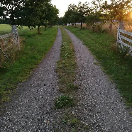 Haervejsly - Perfekt Familiebase Til Oplevelse Af Sydjylland גיב