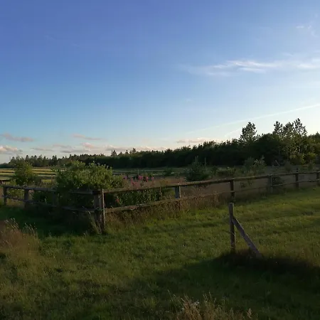 Haervejsly - Perfekt Familiebase Til Oplevelse Af Sydjylland Holiday home *