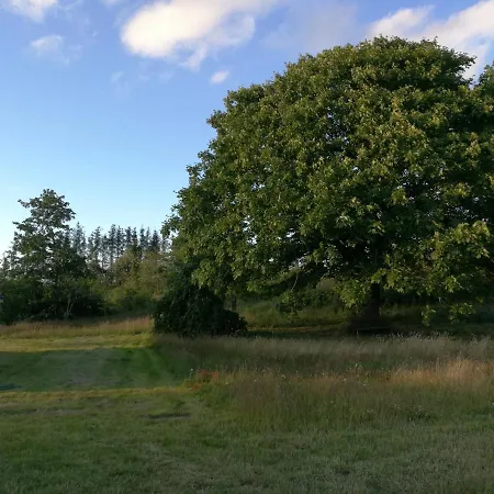 Haervejsly - Perfekt Familiebase Til Oplevelse Af Sydjylland Holiday home *
