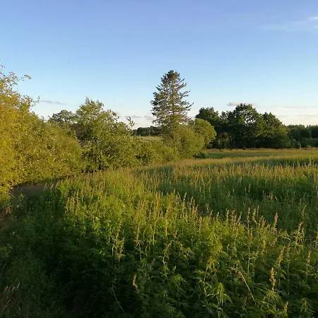 Haervejsly - Perfekt Familiebase Til Oplevelse Af Sydjylland Σπίτι διακοπών Give