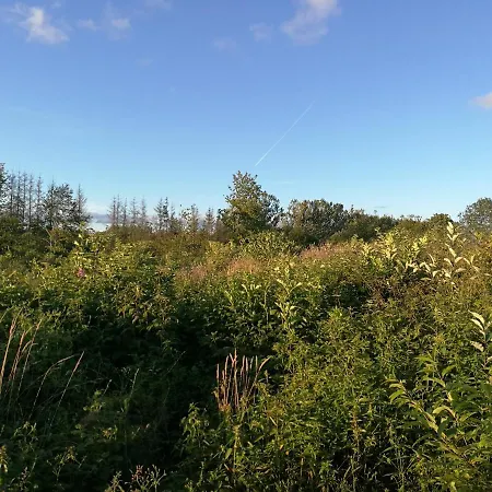 Haervejsly - Perfekt Familiebase Til Oplevelse Af Sydjylland Σπίτι διακοπών Give