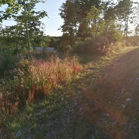 Haervejsly - Perfekt Familiebase Til Oplevelse Af Sydjylland Give