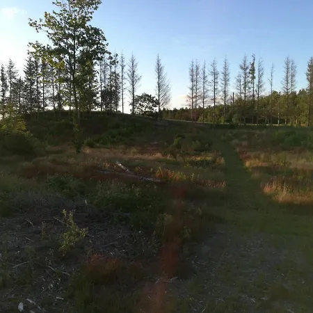 Haervejsly - Perfekt Familiebase Til Oplevelse Af Sydjylland Give