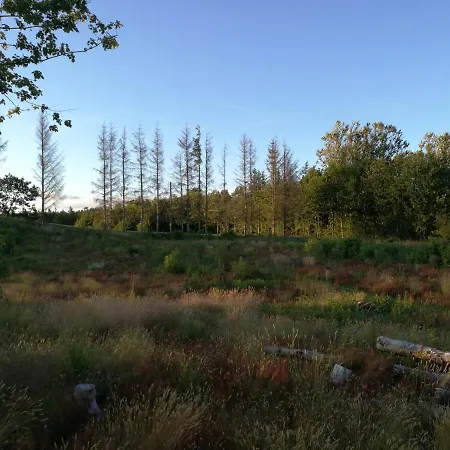 Haervejsly - Perfekt Familiebase Til Oplevelse Af Sydjylland Σπίτι διακοπών