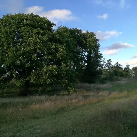 Haervejsly - Perfekt Familiebase Til Oplevelse Af Sydjylland Give