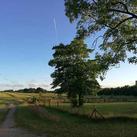 Haervejsly - Perfekt Familiebase Til Oplevelse Af Sydjylland Give