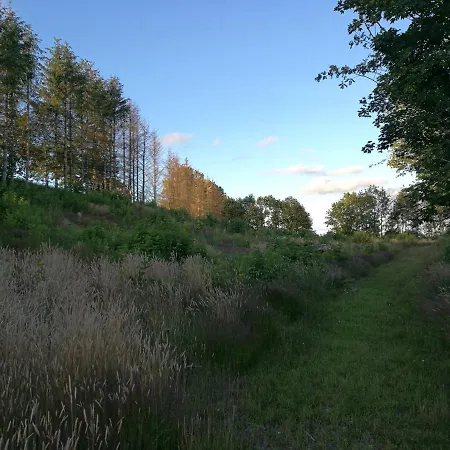 Haervejsly - Perfekt Familiebase Til Oplevelse Af Sydjylland