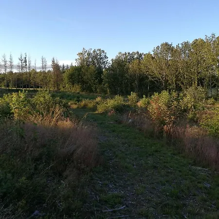 Haervejsly - Perfekt Familiebase Til Oplevelse Af Sydjylland Σπίτι διακοπών *