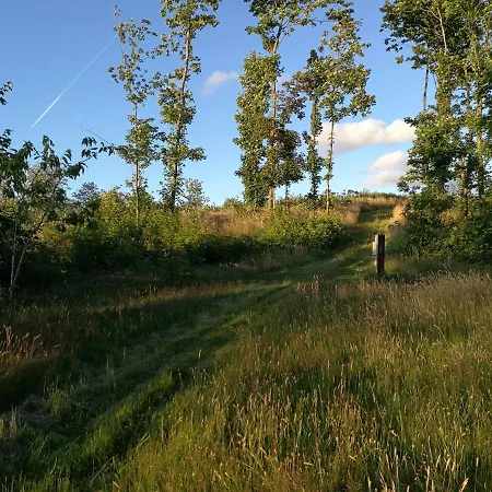 Haervejsly - Perfekt Familiebase Til Oplevelse Af Sydjylland Σπίτι διακοπών