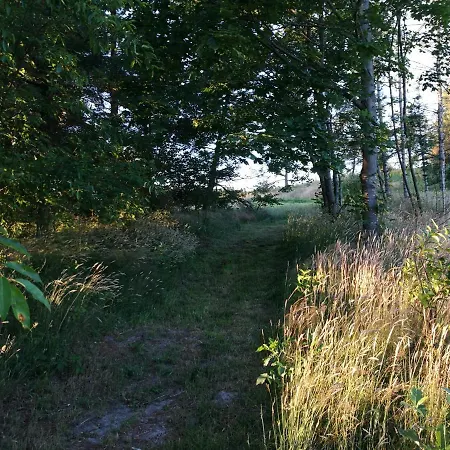 Haervejsly - Perfekt Familiebase Til Oplevelse Af Sydjylland *