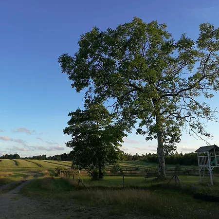 Haervejsly - Perfekt Familiebase Til Oplevelse Af Sydjylland
