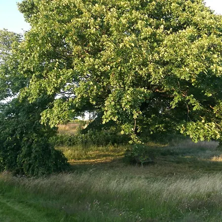 Holiday home Haervejsly - Perfekt Familiebase Til Oplevelse Af Sydjylland *
